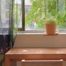 포도당녹음점