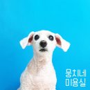 뭉치네 미용실 이미지