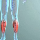 머슬프로짐 이미지