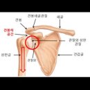 에스피티 이미지