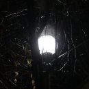 진위고등학교 이미지