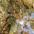 호두나무캠핑장 이미지