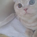 신촌동물병원 이미지