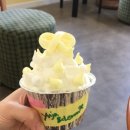 컵앤케이크