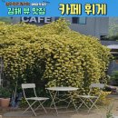 목련장 | 아름다운 목향장미가 있는 뷰 맛집 김해 카페 휘게