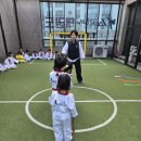 용인대 갈매태권도장 이미지