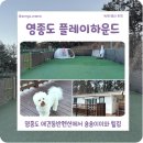 제일펜션 | 영종도 애견동반펜션 플레이하운드 강아지 여행 숙박 후기