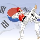 태양태권스쿨 이미지