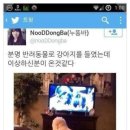 바야바야 이미지