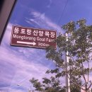 미인목장 이미지