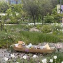 서울 가볼만한 곳 서울식물원 🌳🌷 | 튤립 나룻배 다육이 온실 가족 나들이