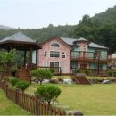 부동산손명숙