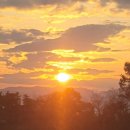 걷기지도사(주간) 이미지