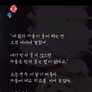 킹즈퀸 헤어
