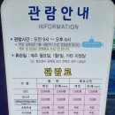 어린이바다과학관 이미지