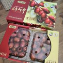 보은대추수향농원 | 가을엔 대추를 / 충북 보은 젤나대추 농원의 생대추와 대추칩 내돈내산 후기