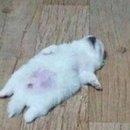 명산활어 이미지