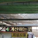 미래꽃화분 이미지