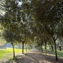 DAMA | 플루미의 12월 로마 일상 #2 (보르게세 미술관 후기, 로마 맛집, AS로마 직관, 로마 가볼 만한 곳)