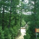 백두산낚시터 이미지