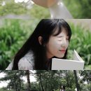 순천만 숲6 이미지