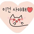 얼라이브 스튜디오 이미지