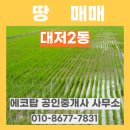 신덕공인중개사사무소 이미지