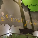 백두대간 전시관 이미지