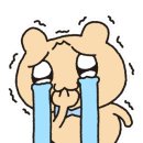 통큰도매횟집 이미지