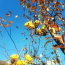 파라다이스펜션 이미지