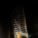 샤인손세차장 이미지