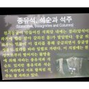 삼척해상케이블카 이미지