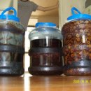 본초한약국 이미지