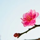 더블유교육