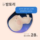 태동농장 | 임신기록 (31주-38주) | 막달검사, 내진, 가진통까지 이제 정말 마지막이 될 기록 🫨