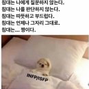 주전패밀리캠핑장