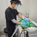 아이사랑 동물병원 이미지