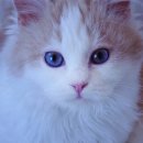 아름다운 동물병원 이미지