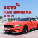 (주)제주카카 이미지