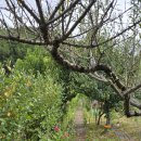 산뜨락힐링펜션 이미지