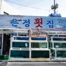 감포은정횟집 이미지