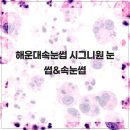 시그니원 | 해운대속눈썹 시그니원 눈썹&속눈썹
