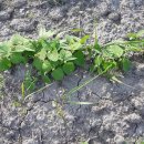 (주)이노코리아 이미지