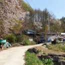 원주굽이길 11코스 부귀영화길 이미지