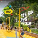디자인존 이미지