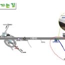 나무숲소 이미지