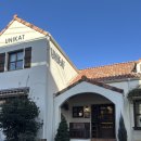 우니카트 | 대구 수성구브런치카페 우니카트 후기｜버섯수프·허니치킨샌드위치 솔직리뷰 (주차/위치/메뉴)