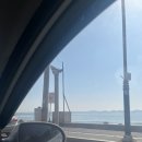 해안로2R | 정신차려 대구... 2024 K리그 2R 포항vs대구 포항스틸야드 원정 직관 후기