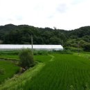 가리골농장 이미지