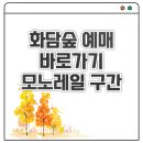 모노모텔 | 2025 단풍시기 화담숲 예매 바로가기 모노레일 구간 추천